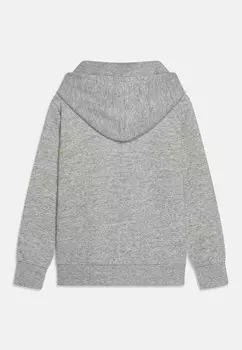 Толстовка с капюшоном ICONS HOODIE CONTRAST LOGO UNISEX Champion, серый