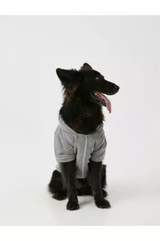 Толстовка с капюшоном Love Dog Koton, серый
