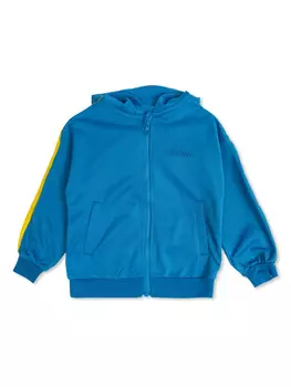 Толстовка с капюшоном Mini Rodini WCT, синий