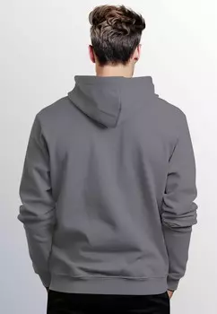 Толстовка с капюшоном MIT POLYGON VOGEL Neverless, серый
