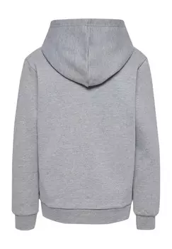 Толстовка с капюшоном NIPPS Hummel, светло-серый