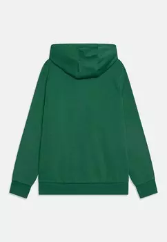 Толстовка с капюшоном OTTERNERE JNR Ellesse, зеленый