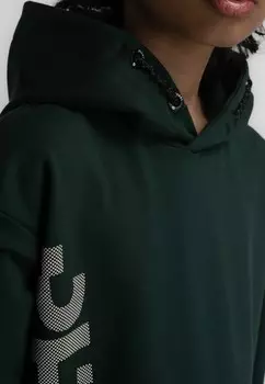 Толстовка с капюшоном Petrol Industries, зеленый