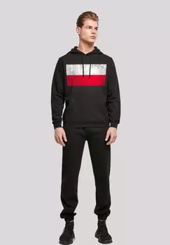 Толстовка с капюшоном POLEN FLAGGE DISTRESSED F4NT4STIC, черный