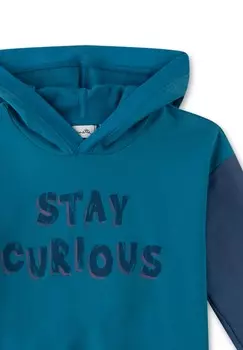 Толстовка с капюшоном Sanetta Pure, синий