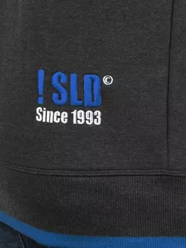 Толстовка с капюшоном sdbenjaminzip Solid, мультиколор