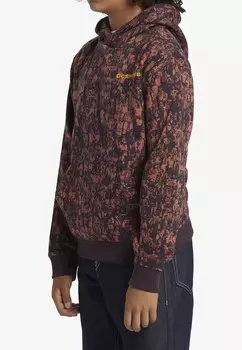 Толстовка с капюшоном SHUTTLE DC Shoes, коричневый