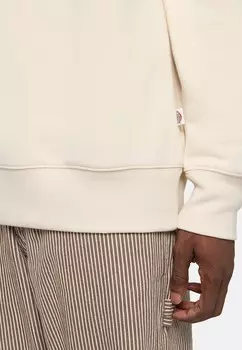 Толстовка с капюшоном SUMMERDALE Dickies, бежевый