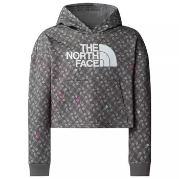 Толстовка с капюшоном The North Face Girl's Drew Pealight Print, цвет Smoked Pearl TNF Shadow