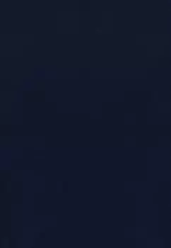 Толстовка с капюшоном THE WIRE LOGO Henry Tiger, темно-синий