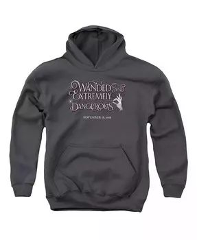 Толстовка с капюшоном Wanded Pull Over Hoodie для мальчиков и подростков Fantastic Beasts, серый