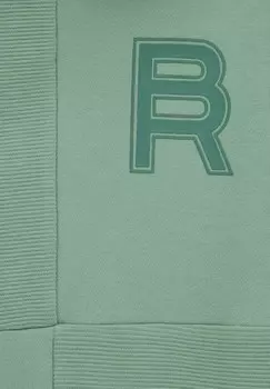 Толстовка с капюшоном WE Fashion, зеленый