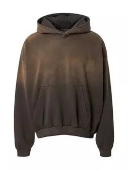 Толстовка с капюшоном WEEKDAY Sweatshirt Leon, цвет anthracite/muddy colored