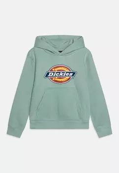 Толстовка с капюшоном YOUTH LOGO HOODIE UNISEX Dickies, бирюзовый
