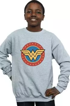 Толстовка с круглым логотипом Wonder Woman DC Comics, серый