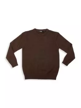 Толстовка с круглым вырезом для мальчиков X Ray, цвет Dark Brown