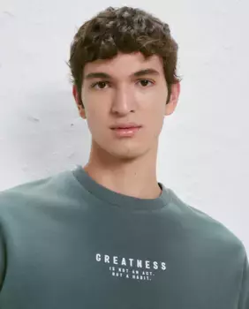 Толстовка с круглым вырезом и мужским принтом Easy Wear, цвет Kaki