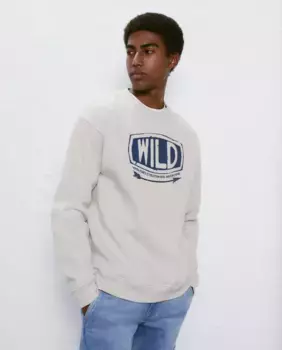 Толстовка с круглым вырезом и мужским принтом Easy Wear, цвет Piedra