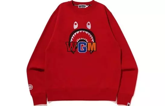Толстовка с круглым вырезом и вышивкой BAPE Shark FW22 A Bathing Ape, черный