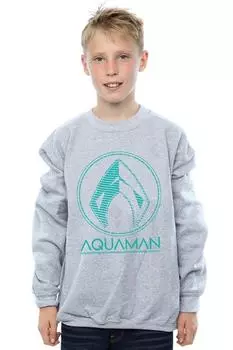 Толстовка с логотипом Aquaman Aquaman DC Comics, серый