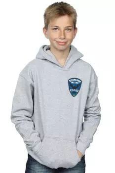 Толстовка с логотипом Arrow Starling Metro Badge DC Comics, серый