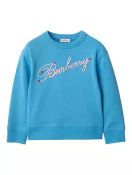 Толстовка с логотипом Burberry Kids, синий