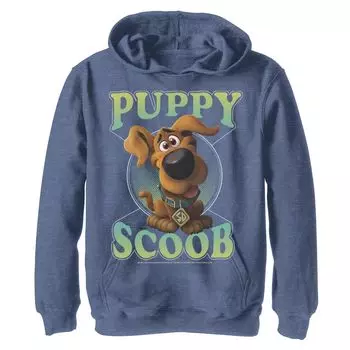 Толстовка с логотипом Scooby-Doo Puppy Scoob Circle для мальчиков 8–20 лет Licensed Character