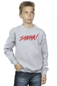 Толстовка с логотипом Shazam Fury Of The Gods DC Comics, серый