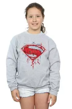 Толстовка с логотипом Superman Geo DC Comics, серый