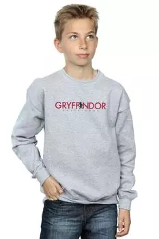Толстовка с надписью «Гриффиндор» Harry Potter, серый