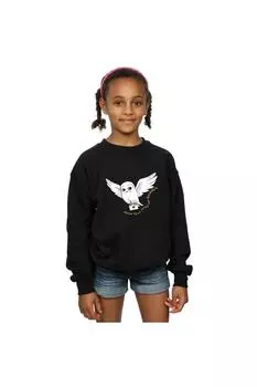 Толстовка с надписью «Сова» Harry Potter, черный