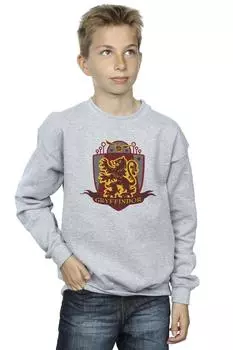 Толстовка с нагрудным значком Гриффиндора Harry Potter, серый