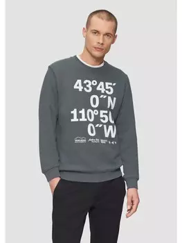 Толстовка s.Oliver Sweatshirt langarm, серый