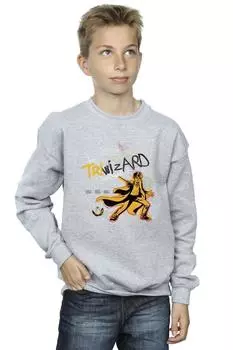 Толстовка с плакатом Triwizard Harry Potter, серый