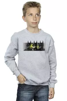 Толстовка с портретами Флэша и Бэтмена DC Comics, серый