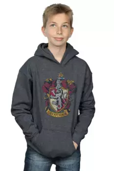 Толстовка с потертым гербом Гриффиндора Harry Potter, серый