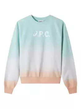 Толстовка с принтом логотипа Ombre A.P.C., зеленый