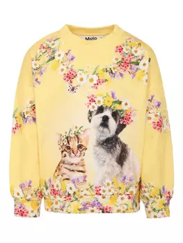 Толстовка с принтом Molo, желтый