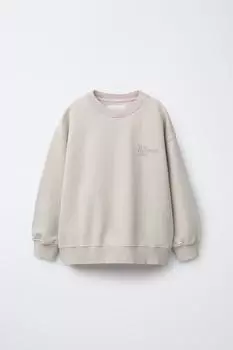 Толстовка с принтом слогана ZARA, цвет Brown/Taupe