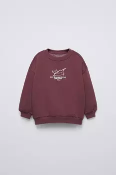 Толстовка с принтом собаки ZARA, бордовый