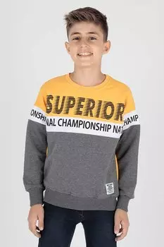 Толстовка с принтом Superior для мальчиков Ak15118 ahengim, желтый