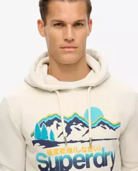 Толстовка с рисунком Great Outdoors Superdry, серый