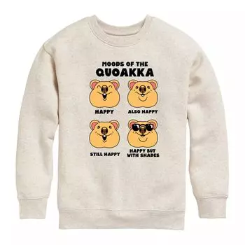 Толстовка с рисунком Moods Of The Quokka для мальчиков 8–20 лет Licensed Character