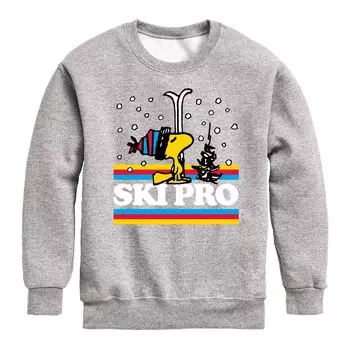 Толстовка с рисунком Peanuts Ski Pro Woodstock для мальчиков 8–20 лет Licensed Character