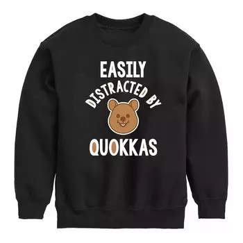 Толстовка с рисунком Quokkas для мальчиков 8–20 лет, которая легко отвлекается Licensed Character, черный