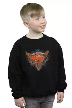 Толстовка с щитом Superman Wings DC Comics, черный