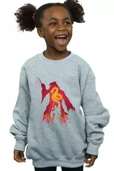 Толстовка с силуэтом Дамблдора Harry Potter, серый