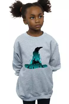 Толстовка с силуэтом Хогвартса Harry Potter, серый