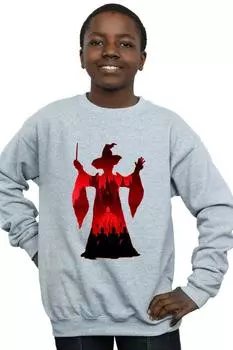 Толстовка с силуэтом Минервы МакГонагалл Harry Potter, серый