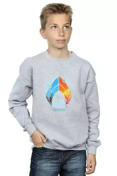 Толстовка с тропическим логотипом Aquaman DC Comics, серый